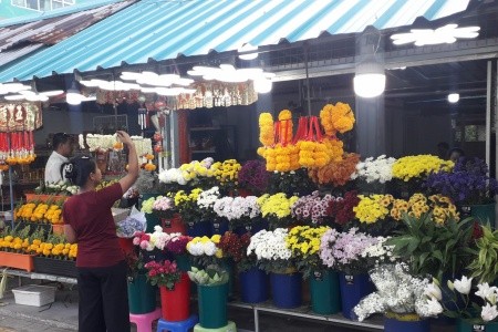 THAJSKO - velký okruh - 50