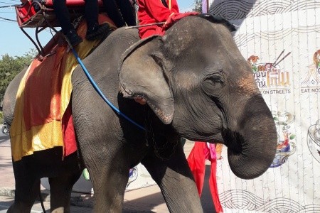 THAJSKO - velký okruh - 51