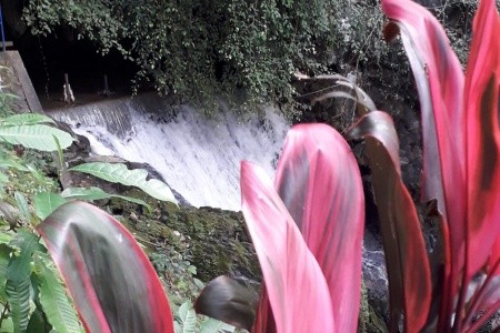 THAJSKO - velký okruh - 66