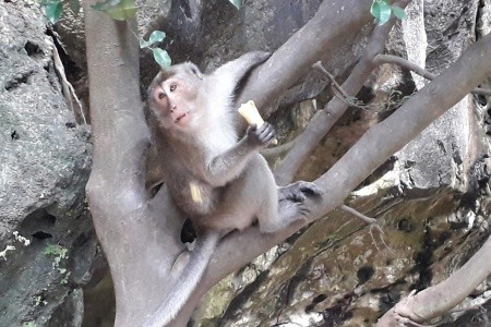 THAJSKO - velký okruh - 89