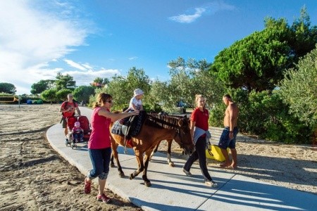 Chorvátsko Severná Dalmácia Zaton Holiday Resort 4 dňový pobyt Bez stravy Vlastná April 2026 (27/04/26-30/04/26)