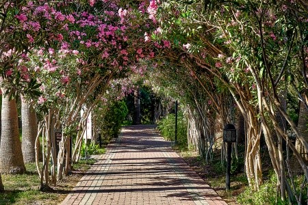 Turecko Turecká riviéra Seaden Sea World Resort & Spa 7 dňový pobyt All Inclusive Letecky Letisko: Praha September 2026 (24/09/26-30/09/26)