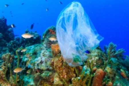 Egypt omezuje plasty: Co si přibalit, abyste neporušili pravidla?