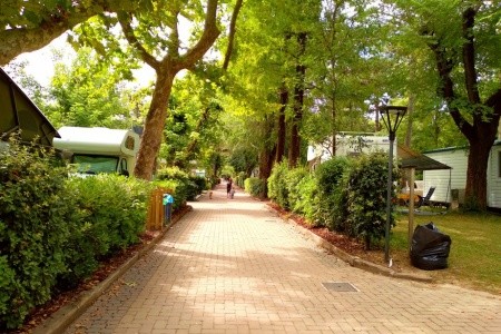 Camping Sabbiadoro - 5