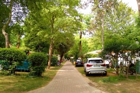 Camping Sabbiadoro - 9