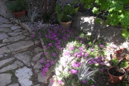 Apartmány 1355-5925 - 7