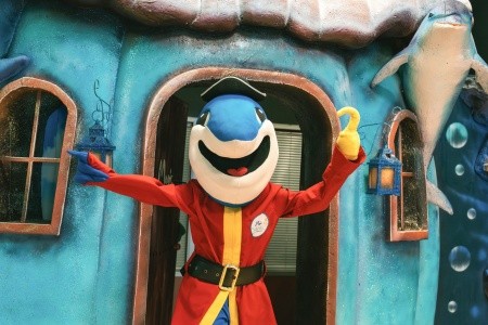 Magic Sports (Ex. Gran Duque) - 31