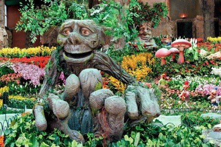 Magic Sports (Ex. Gran Duque) - 38