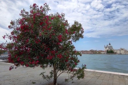 To nejlepší z Itálie - 14