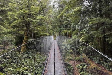 Nový Zéland - Velký okruh - 50