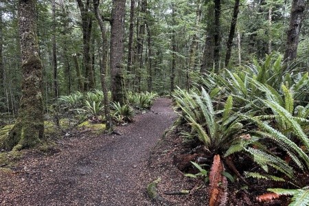 Nový Zéland - Velký okruh - 14