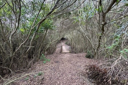 Rota Vicentina: turistika jižním Portugalskem - 42