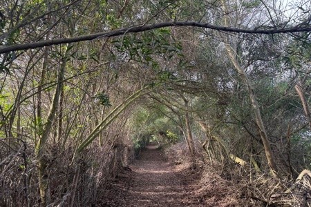 Rota Vicentina: turistika jižním Portugalskem - 43