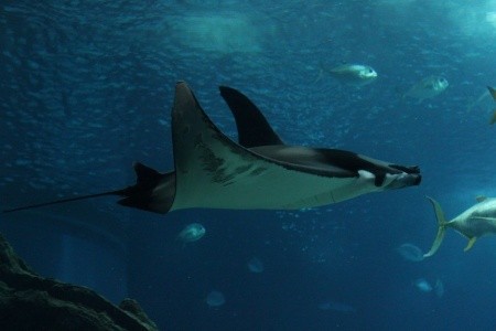 Rota Vicentina: turistika jižním Portugalskem - 60