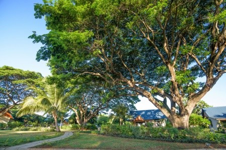 Anelia Resort Villas & Spa - 4