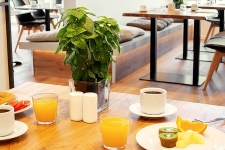 Grécko Rodos Cyprotel Faliraki 10 dňový pobyt All Inclusive Letecky Letisko: Praha June 2026 ( 4/06/26-13/06/26)