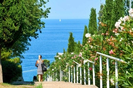 Laguna Bellevue Apartments - 28