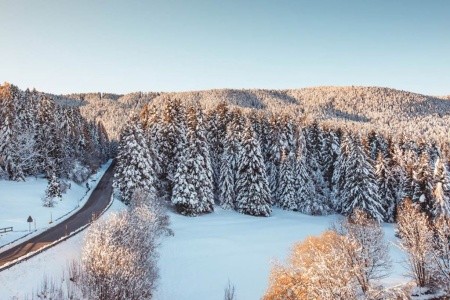 Seggiovia (Francolini) - 19