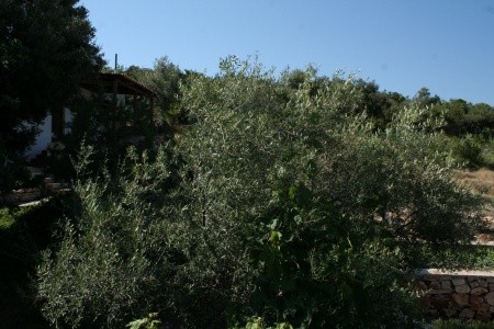 Apartmány 3298-862 - 17