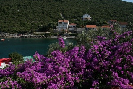 Apartmány 3298-862 - 40