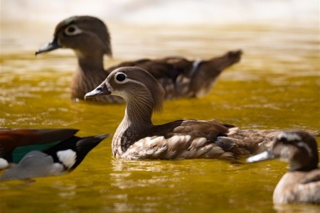 Forte Village Resort - 88