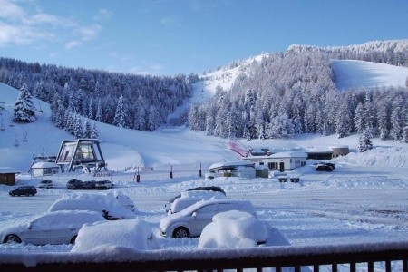 Grizzly (Fondo Piccolo) - 11