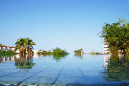 Alexandre Troya - 10