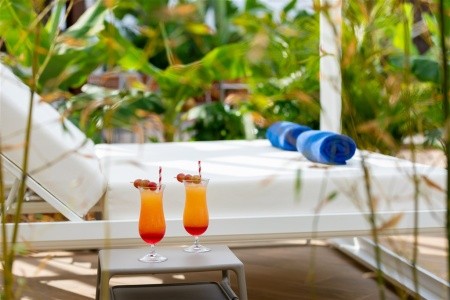 Alexandre Troya - 14