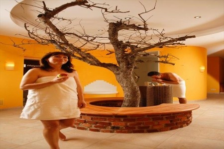 Ballonhotel (Hofkirchen Bei Hartberg) - 7