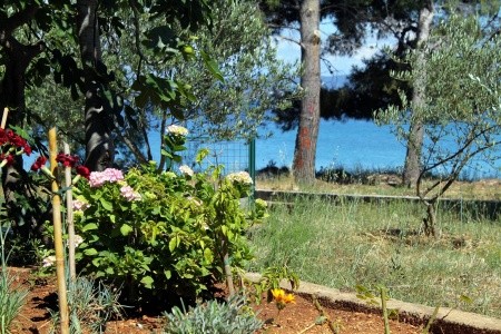 Apartmány 3298-183 - 59