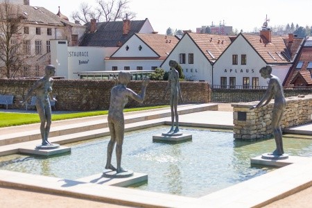 Česká republika Východné Čechy Aplaus 8 dňový pobyt Bez stravy Vlastná January 2026 ( 9/01/26-16/01/26)