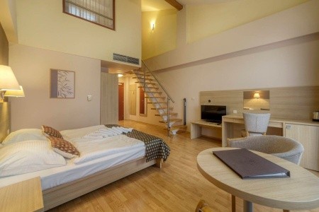 Wellness Hotel Patince - 7