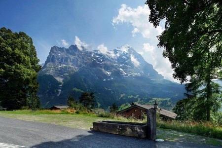 Eiger View Alpine Lodge - 10