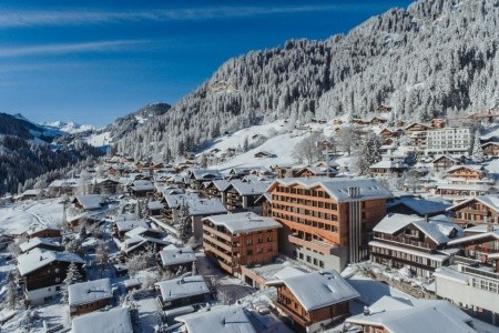 Revier Mountain Lodge Adelboden - 11