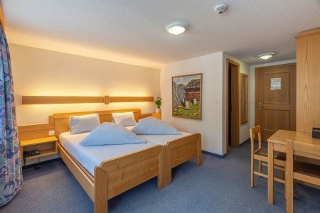 Alpenblick (Fiesch) - 7