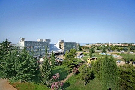 Aminess Vival Maestral - 2