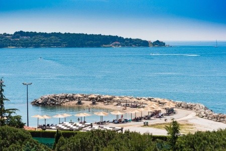 Aminess Vival Maestral - 28