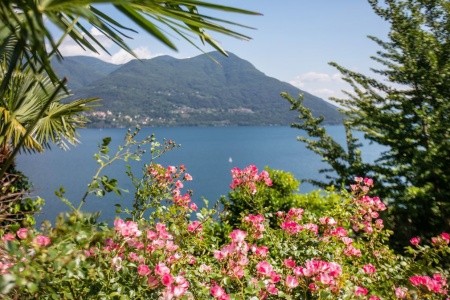 Parkhotel Brenscino - 15