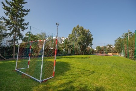 Shalimar - 19