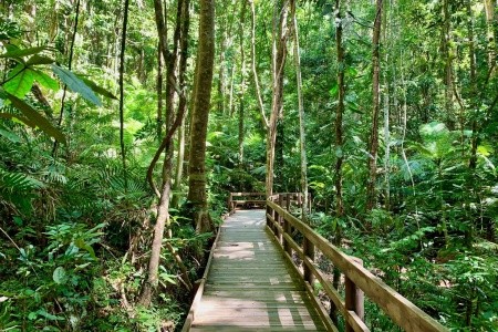 Austrálie - Nový Zéland - 23