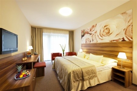 Kurhaus Velka Fatra - 20