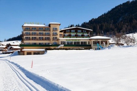 Harfenwirt (Niederau) - 41