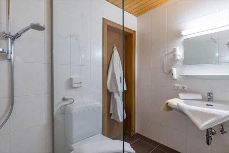 Harfenwirt (Niederau) - 48