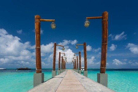 Malahini Kuda Bandos - 7