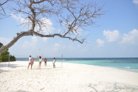 Malahini Kuda Bandos - 35