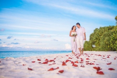 Malahini Kuda Bandos - 41