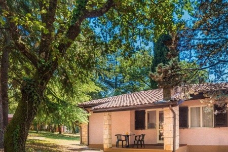 Apartments Polynesia Plava Laguna - 3