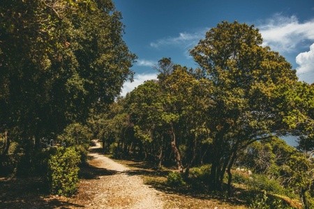 Naturist Park Koversada Villas & Apartements - 11