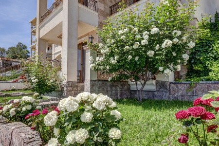 Paraiso Theopolis - 42