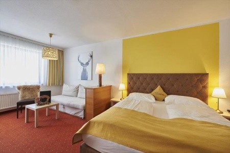 Vitalhotel Gosau - 21